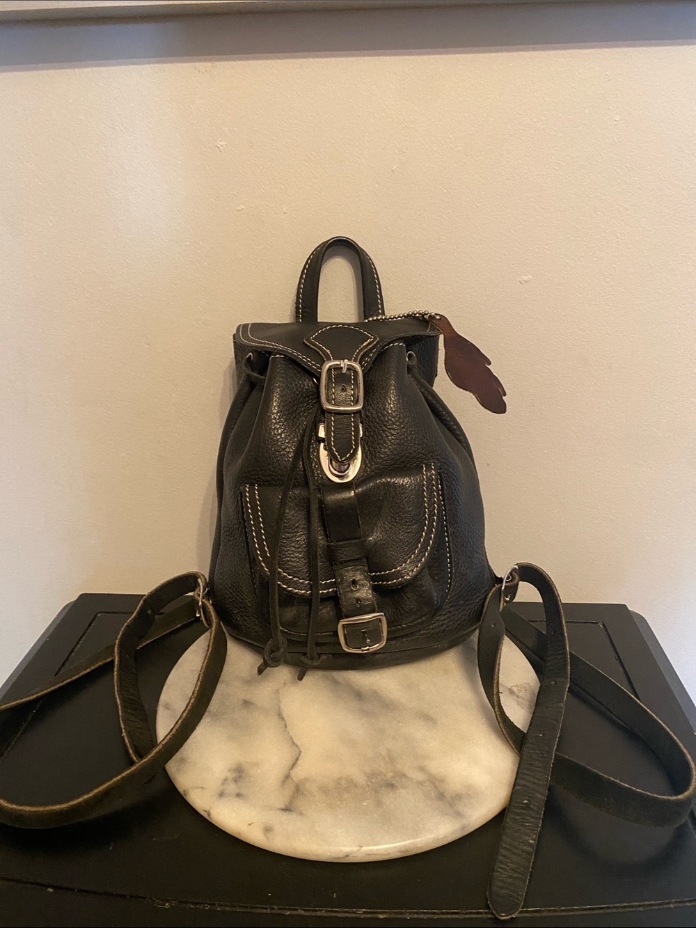 Roots Canada Mini Leather backpack